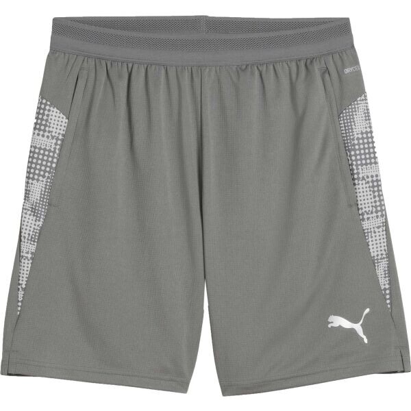 Puma TEAMCUP TRAINING SHORTS Pánské šortky, šedá, velikost