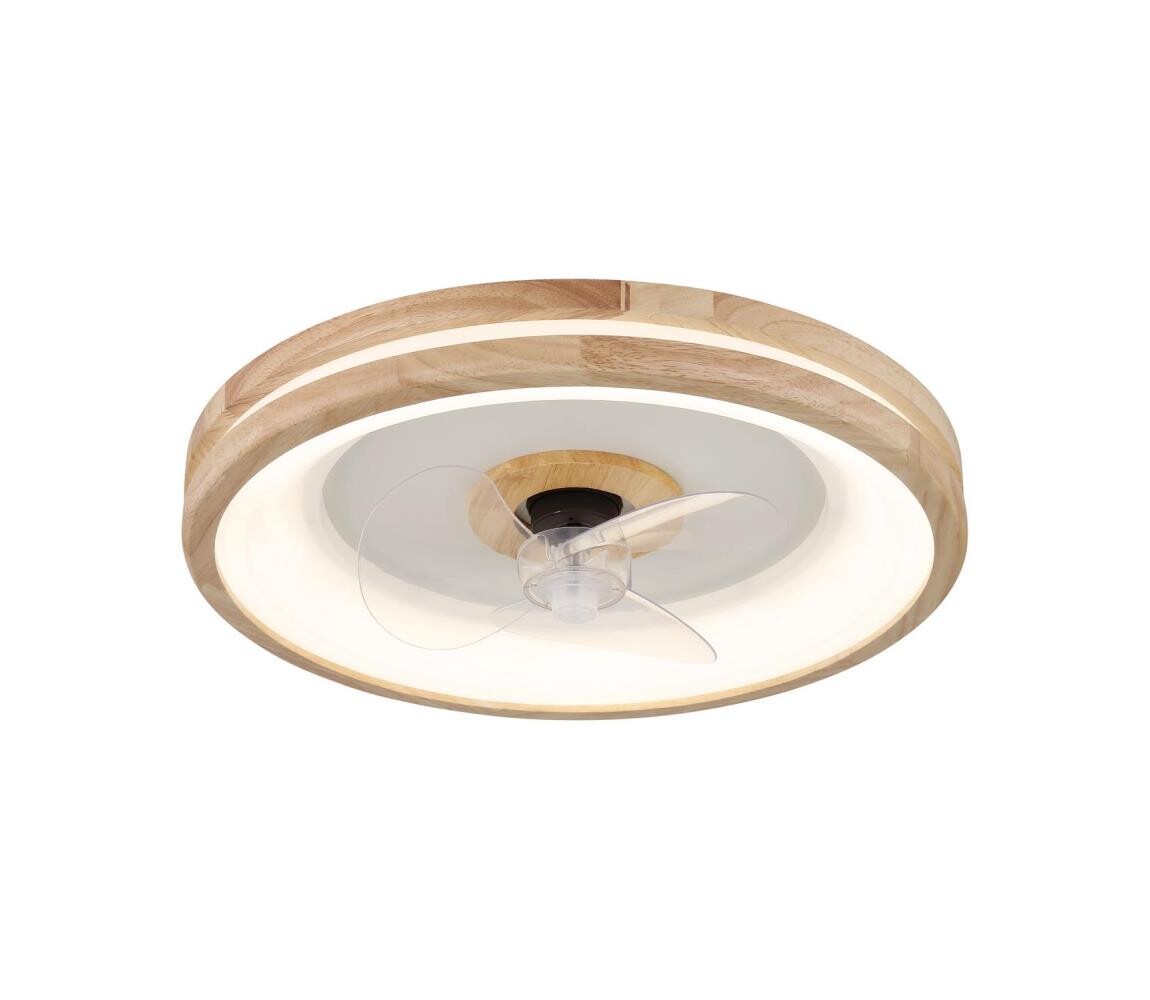 GLOBO 03650