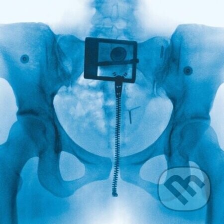 Lorde:  Virgin LP - Lorde