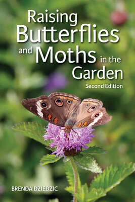 Raising Butterflies and Moths in the Garden -  (Dziedzic Brenda)(Paperback)