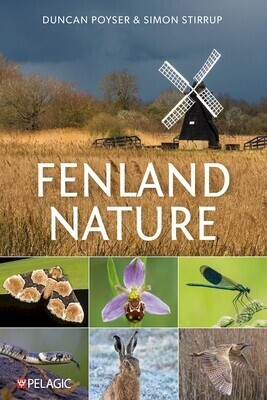 Fenland Nature -  (Stirrup Simon)(Paperback)
