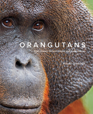 Orangutans: Their History, Natural History and Conservation -  (Orenstein Ronald)(Pevná vazba)