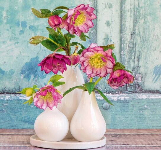 Kytice 2026 vázanka - nástěnný kalendář