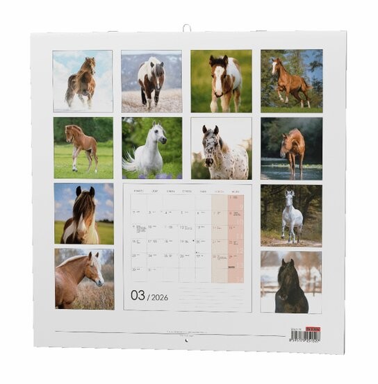 Koně 2026 - nástěnný kalendář