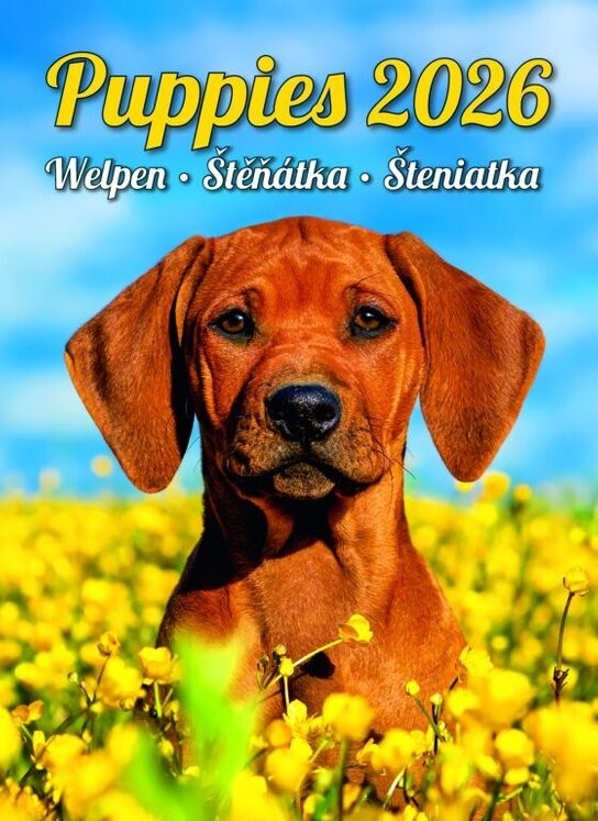 Štěňátka 2026 - nástěnný kalendář