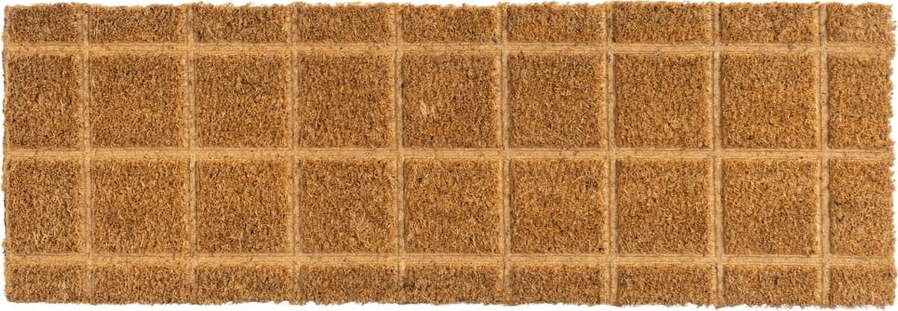 Rohožka z kokosového vlákna 25x75 cm Trazos – Casa Selección