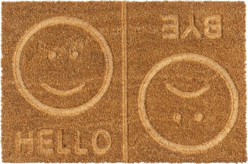 Rohožka z kokosového vlákna 40x60 cm Salute – Casa Selección