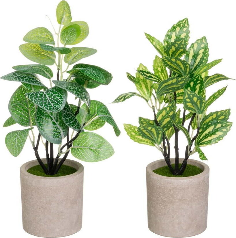 Umělé rostliny v sadě 2 ks (výška 28 cm) – Casa Selección