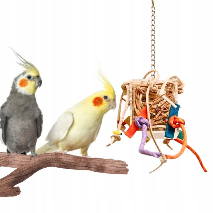 Crazy Box S – hračka pro malé papoušky