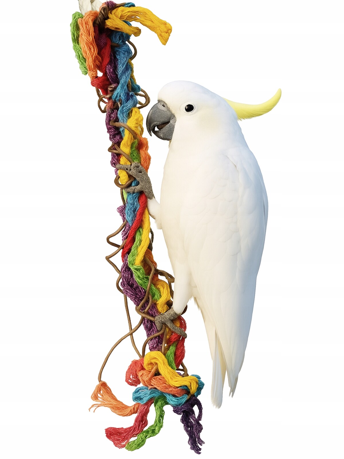 XXL smyčka – hračka pro střední a velké papoušky