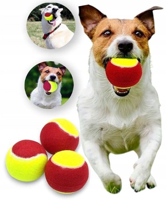 Míček Míček pro psa hračka Tenisové míčky 3 kusy aport