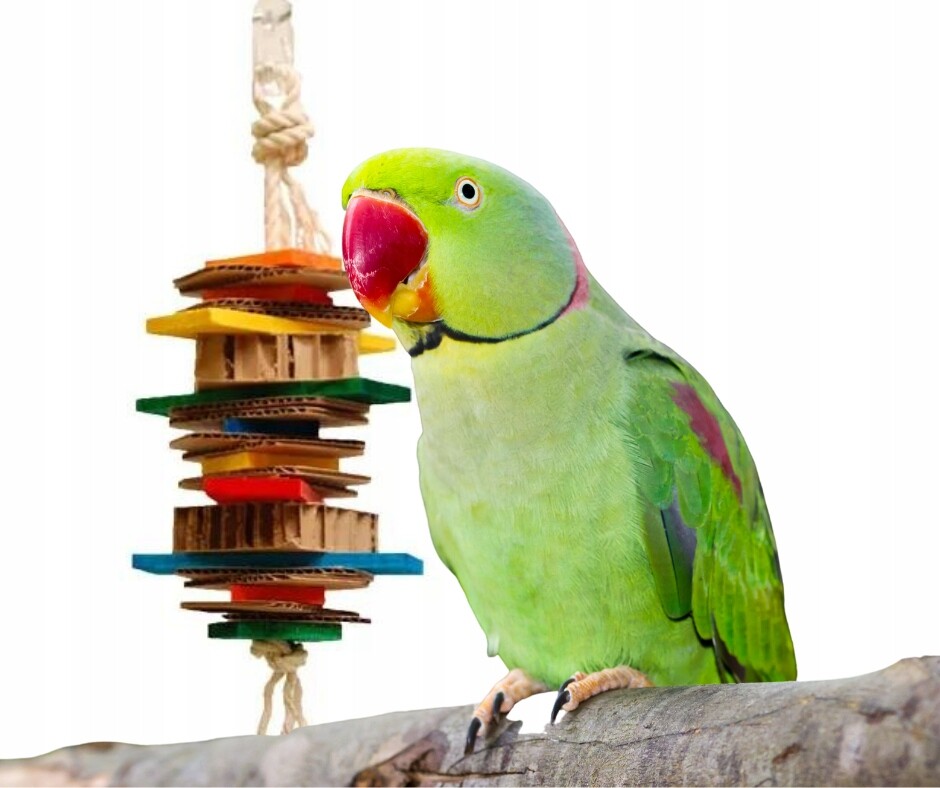 MiszMasz Medium – Barevná a přírodní Hračka pro malé a střední papoušky