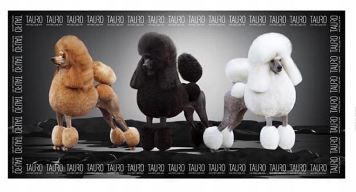 Tauro Pro Line Ručník z mikrovlákna pro psy 80 x 160 cm, vzor: krabička