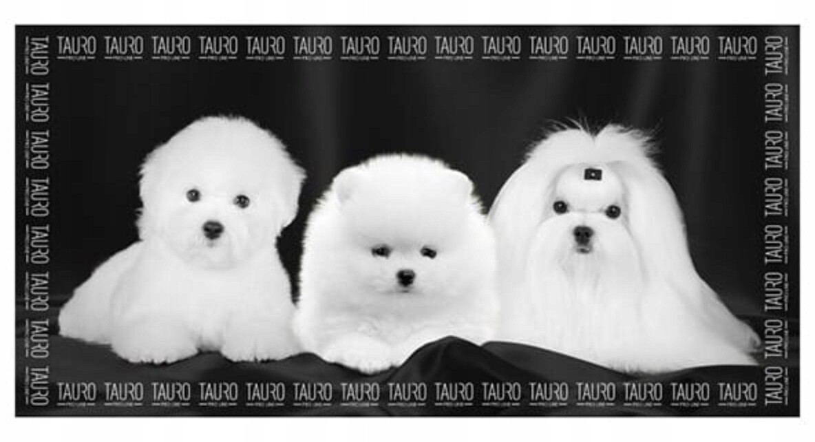 Tauro Pro Line Ručník z mikrovlákna pro psy 80x160 cm Maltézský Bichon
