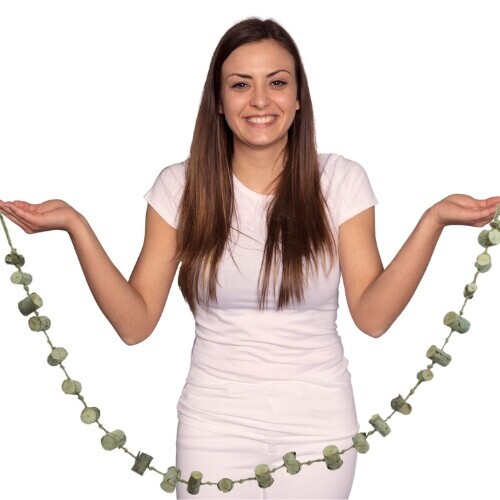 Eukalyptový žebřík-můstek – hračka pro lotopalanky