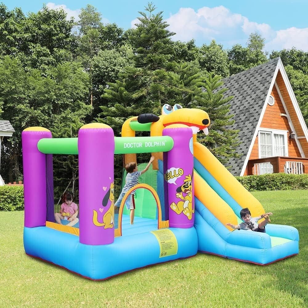 Doctor Dolphin Puppy Slide 72007