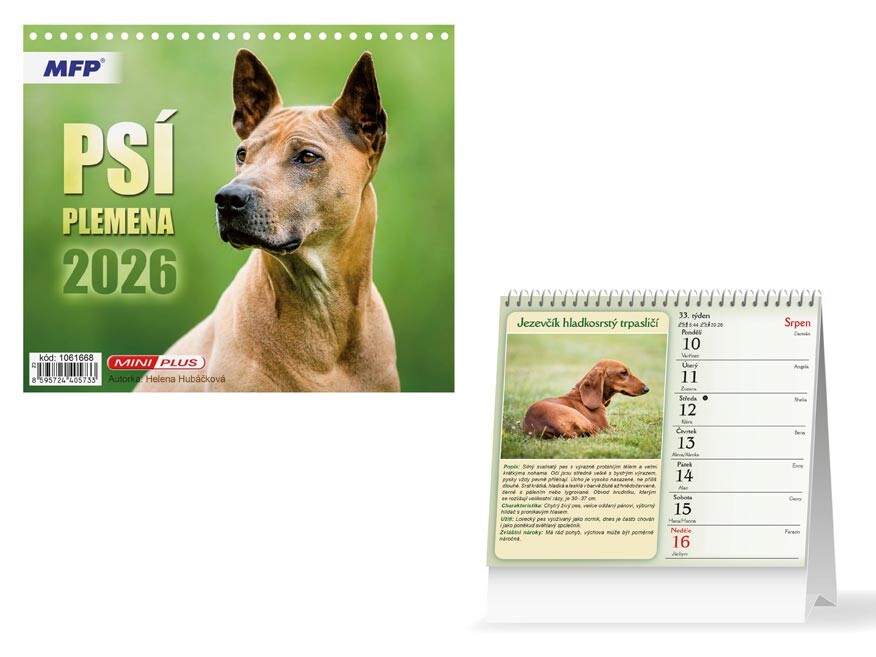MFP 1061668 Kalendář 2026 stolní mini Psí plemena