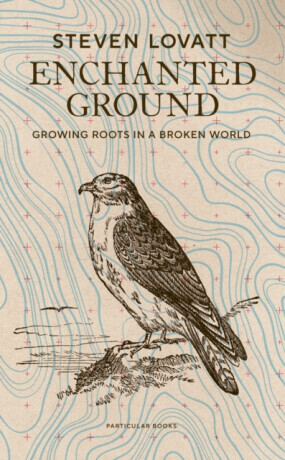 Enchanted Ground - Lovatt Steven