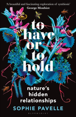 To Have or To Hold - Sophie Pavelle