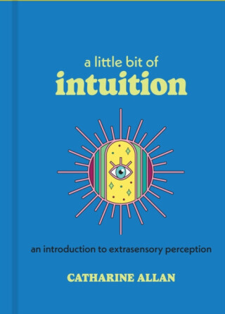 A Little Bit of Intuition - Catharine Allan