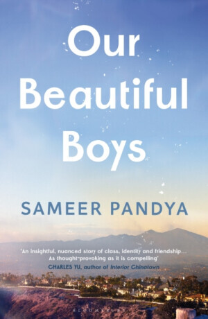 Our Beautiful Boys - Sameer Pandya