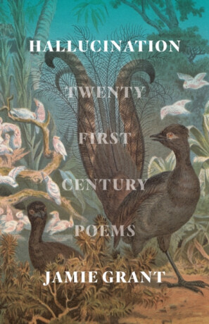 Hallucination - Jamie Grant