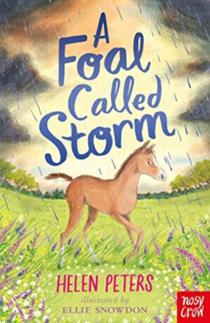 A Foal Called Storm - Helen Peters