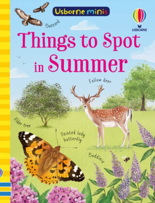 Things to Spot in Summer - Lara Bryan, Kate Nolan