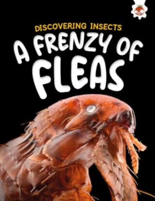 Discovering Insects: A Frenzy of Fleas - Rebecca Storm