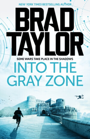 Into the Gray Zone - Brad Taylor