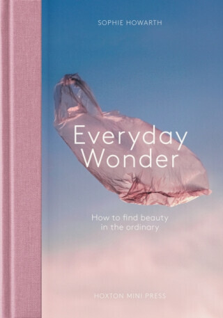Everyday Wonder - Sophie Howarth