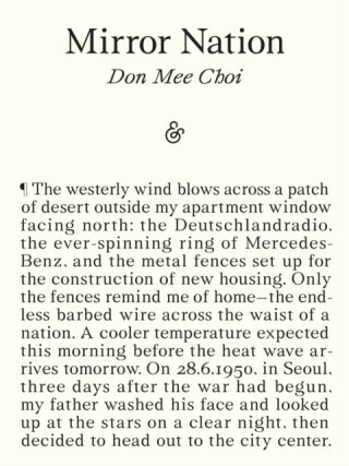 Mirror Nation - Don Mee Choi