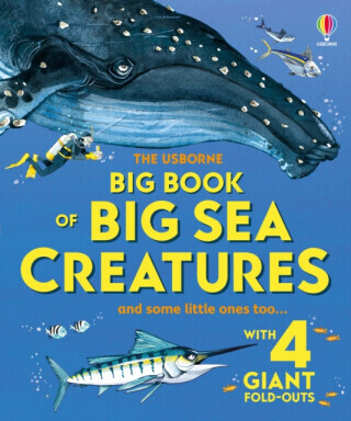 Big Book of Big Sea Creatures - Minna Lacey