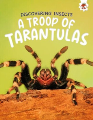 Discovering Insects: A Troop of Tarantulas - Rebecca Storm