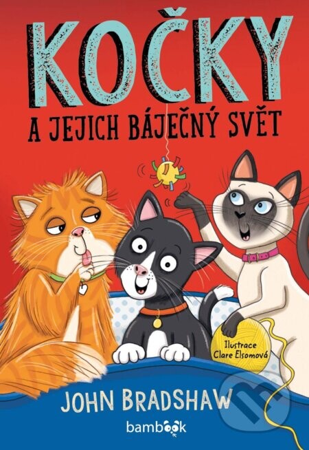 Kočky a jejich báječný svět - Bradshaw Dr. John