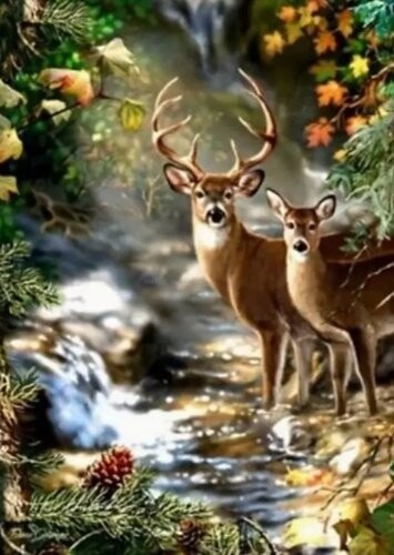 Diamantové malování Jelen a srnka u lesního potoka 30x40cm