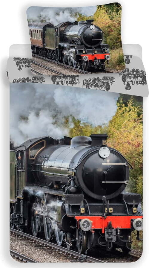 Bavlněné dětské povlečení na jednolůžko 140x200 cm Train – Jerry Fabrics
