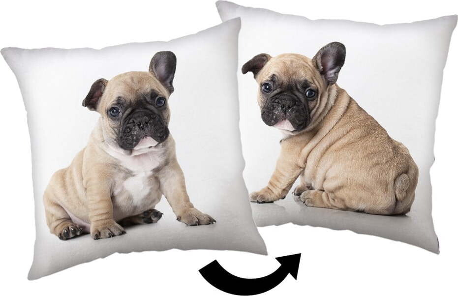 Dětský polštářek 40x40 cm Bulldog – Jerry Fabrics