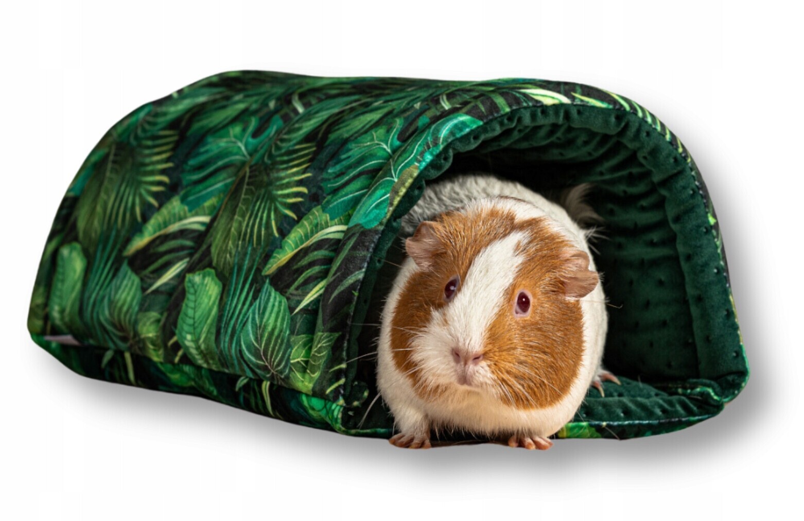 Kraina Tuptusia půlkruhový tunel pro prasátka