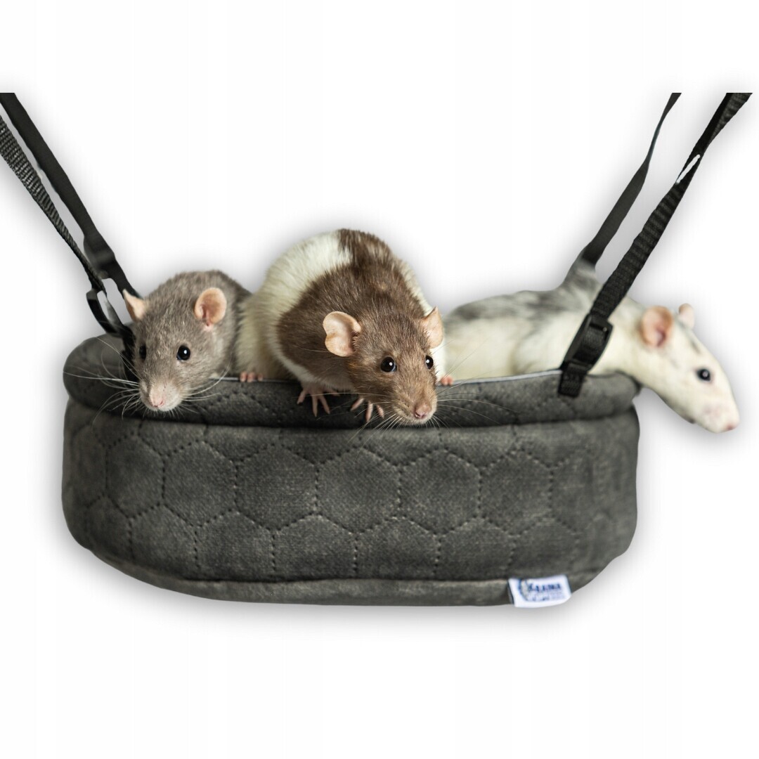 Kraina Tuptusia houpačka rendlík houpací síť hračka pro potkany činčily