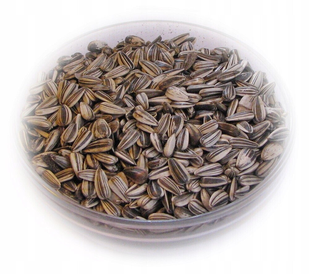 slunečnice pruhovaná jemná 25 kg