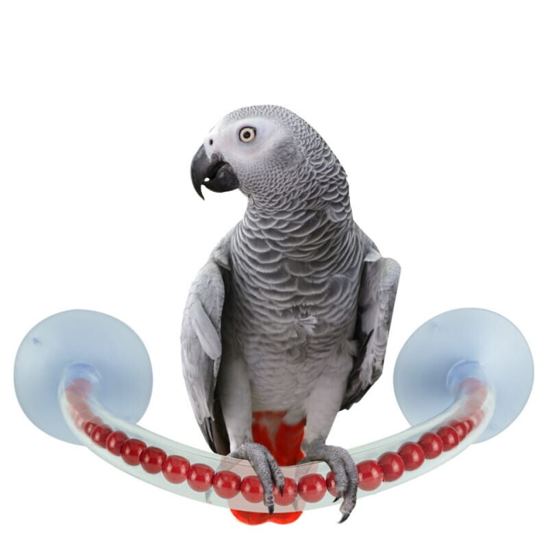 Sprchový žerď L – pro střední a velké papoušky