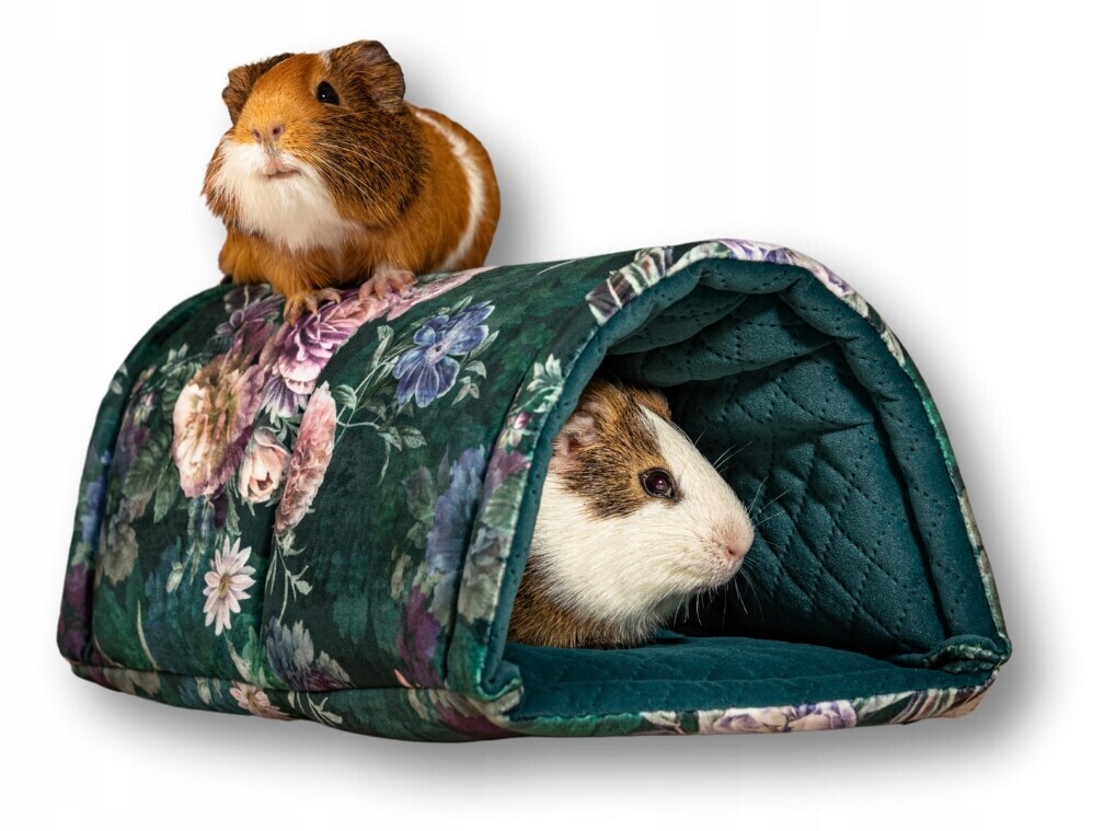 Kraina Tuptusia půlkruhový tunel pro prasátka ježků