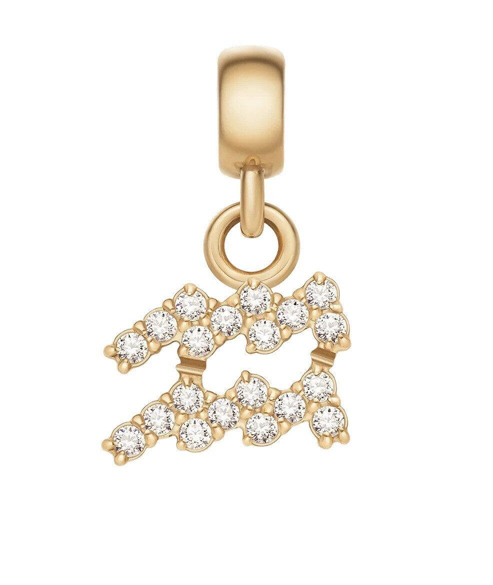 Daniel Wellington Pozlacený přívěsek s krystaly Vodnář Crystal Zodiac DW00400764