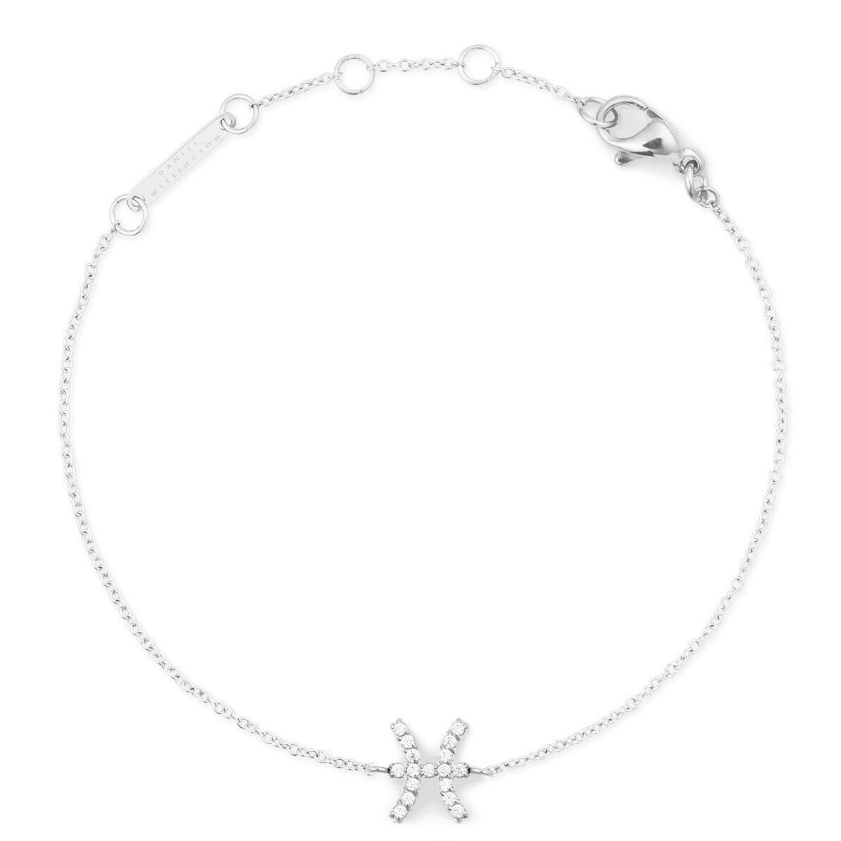 Daniel Wellington Ocelový řetízkový náramek znamení Ryby Crystal Zodiac DW00400942