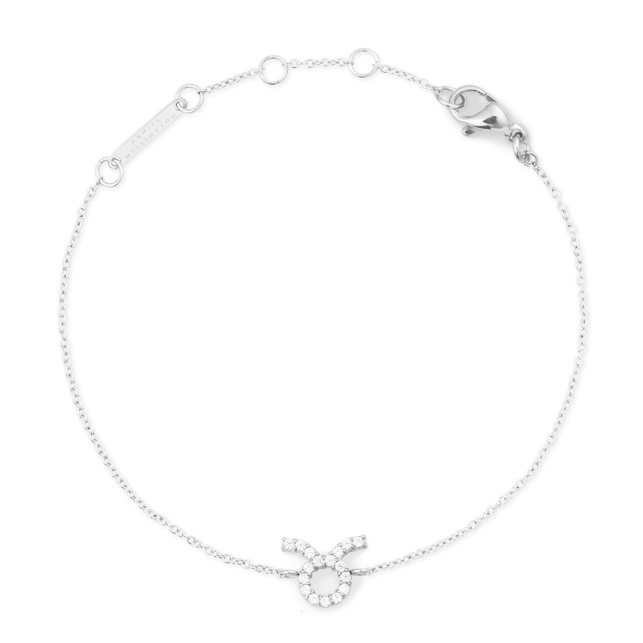 Daniel Wellington Ocelový řetízkový náramek znamení Býk Crystal Zodiac DW00400932