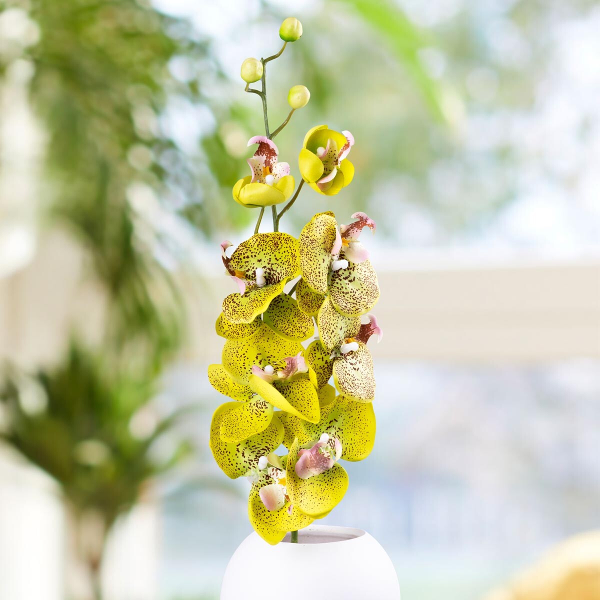 Weltbild Umělá orchidej, zelená