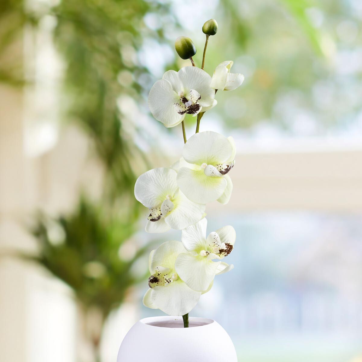 Weltbild Umělá orchidej, bílá