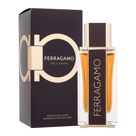 Ferragamo Ferragamo Spicy Leather 100 ml parfém pro muže