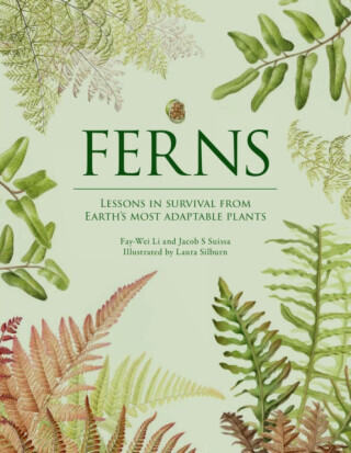 Ferns - Fay-Wei Li, Jacob S. Suissa
